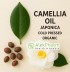 KAMELIJA JAPANSKA ULJE HLADNO CEĐENO ORGANSKO - Camellia Oil (Japonica) Cold Pressed Organic