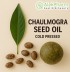 CHAULMOGRA ULJE HLADNO CEDJENO - Chaulmogra Seed Oil Cold Pressed