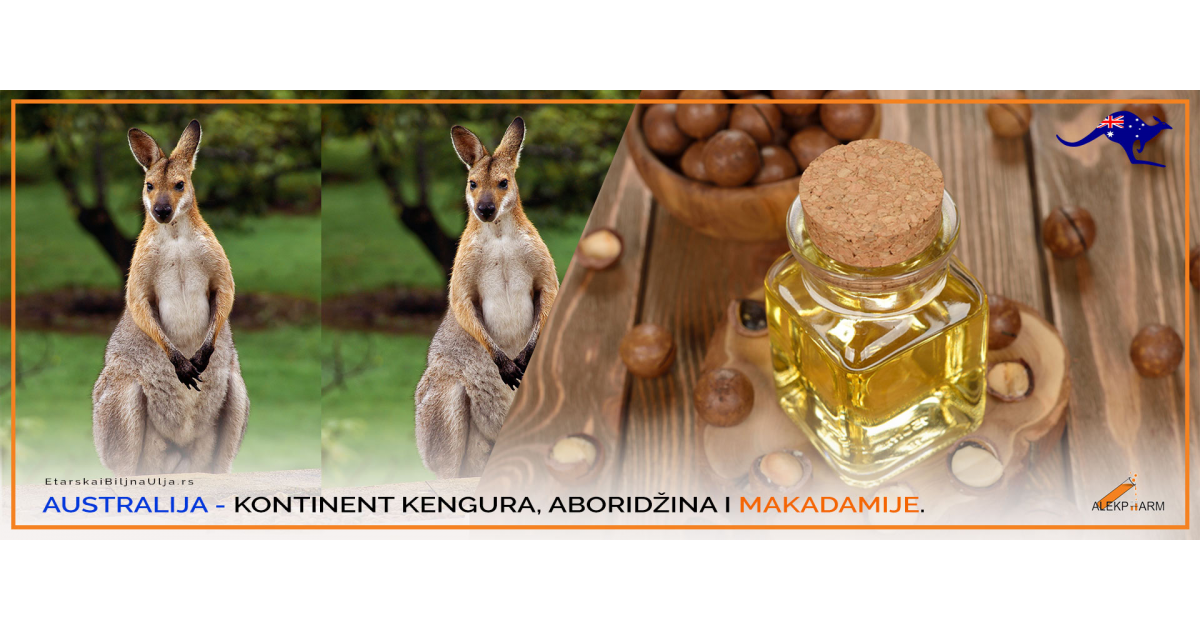 AUSTRALIJA - KONTINENT MAKADAMIJE