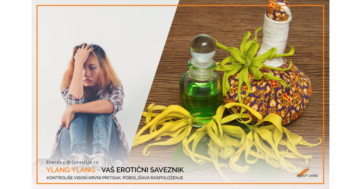 YLANG YLANG- VAŠ EROTIČNI SAVEZNIK YLANG YLANG- VAŠ EROTIČNI SAVEZNIK
