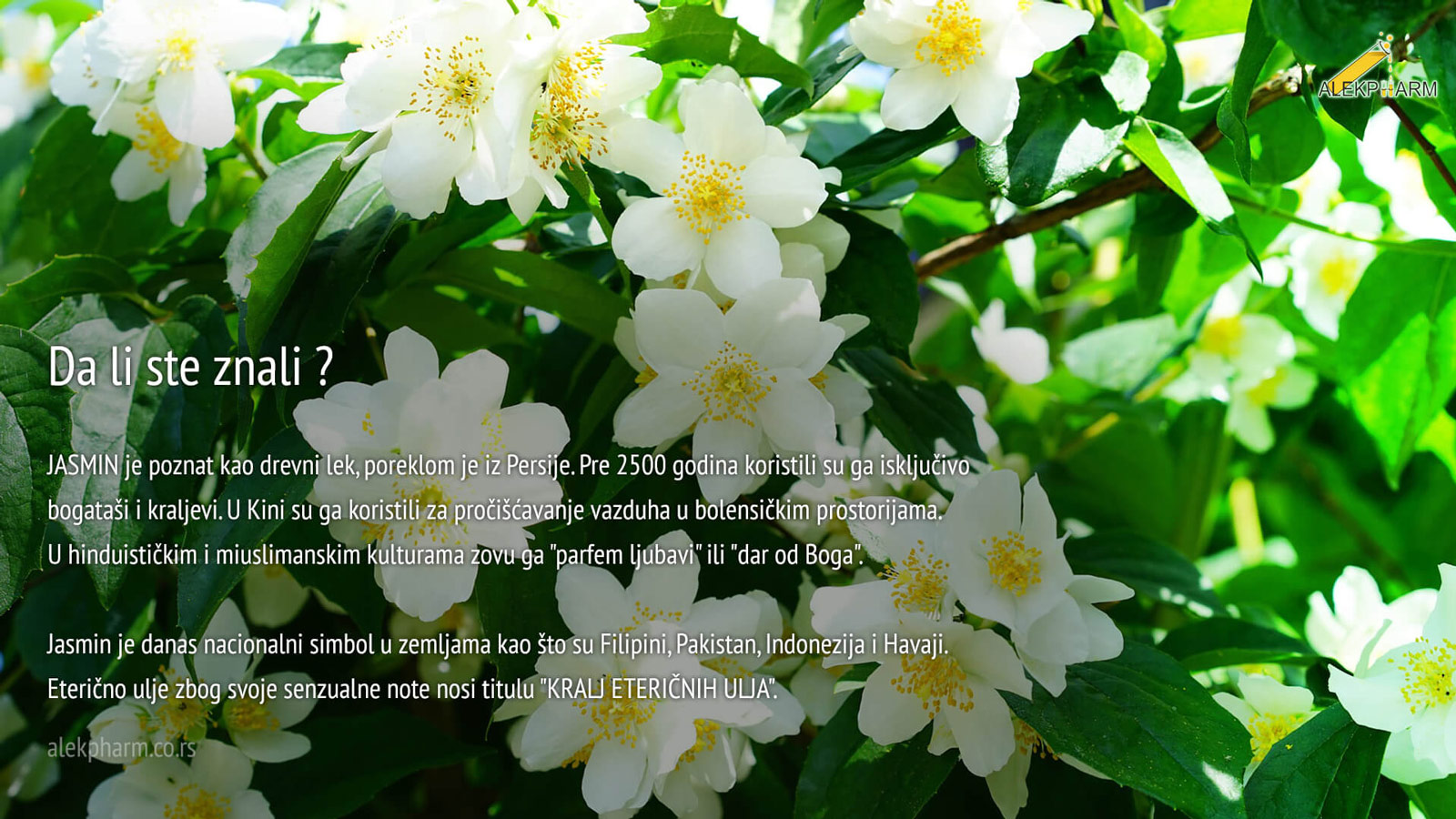 Jasminovo mirisno ulje