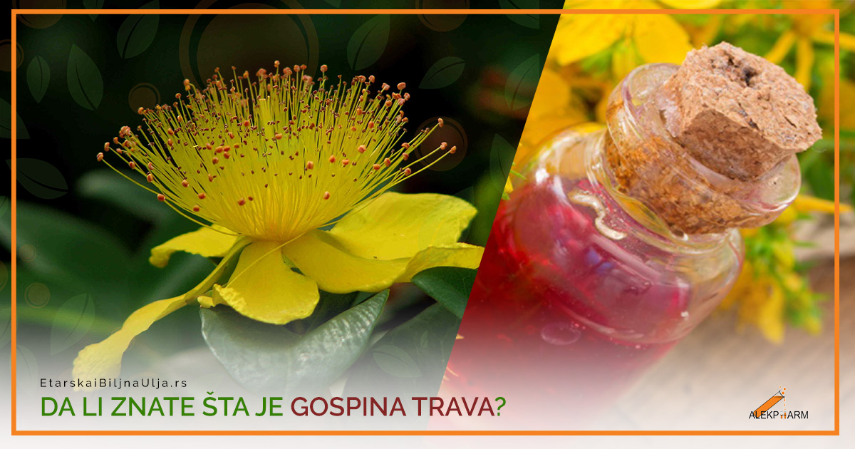 DA LI ZNATE ŠTA JE GOSPINA TRAVA?