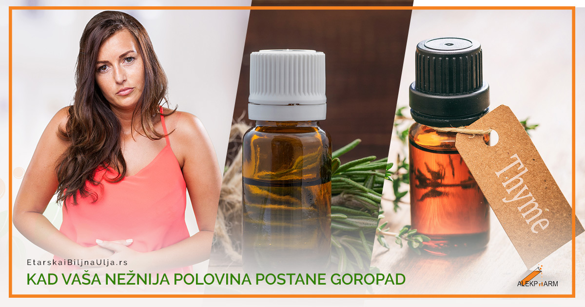 KAD VAŠA NEŽNIJA POLOVINA POSTANE GOROPAD