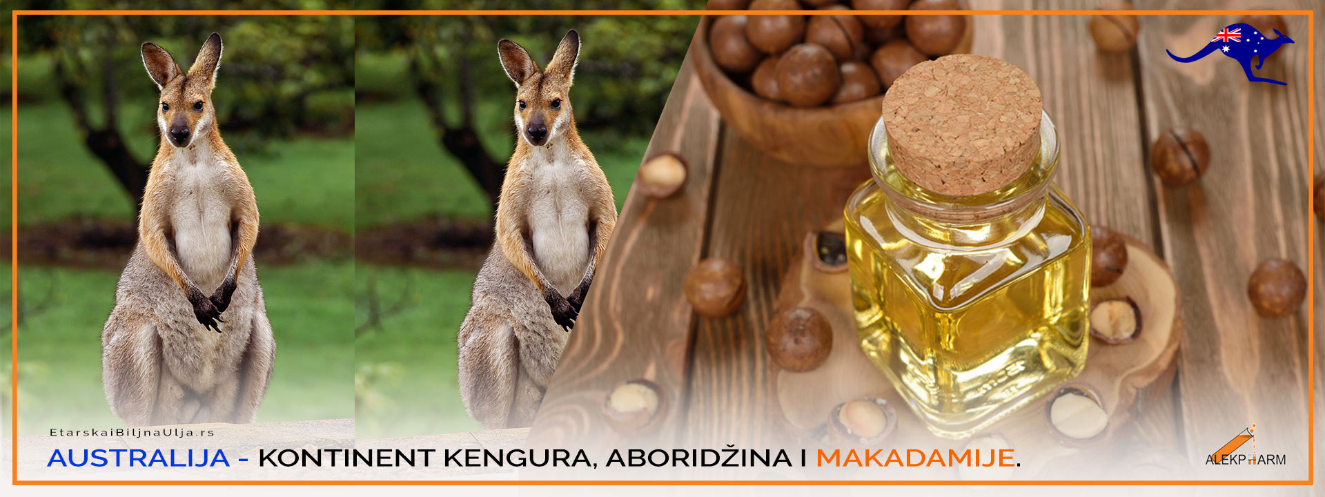 AUSTRALIJA - KONTINENT MAKADAMIJE
