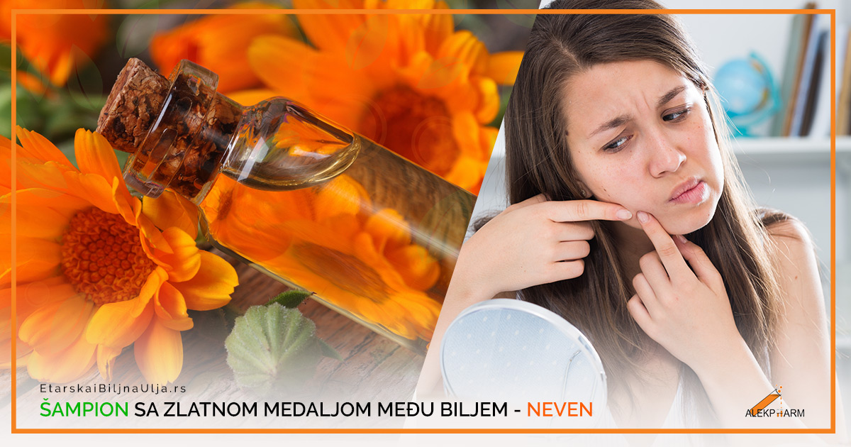 ŠAMPION SA ZLATNOM MEDALJOM MEĐU BILJEM-NEVEN