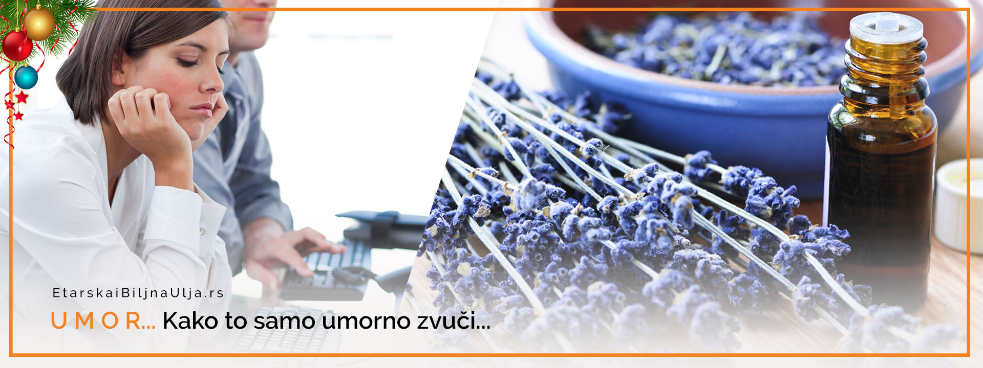 LAVANDA - PRIZIVA LJUBAV