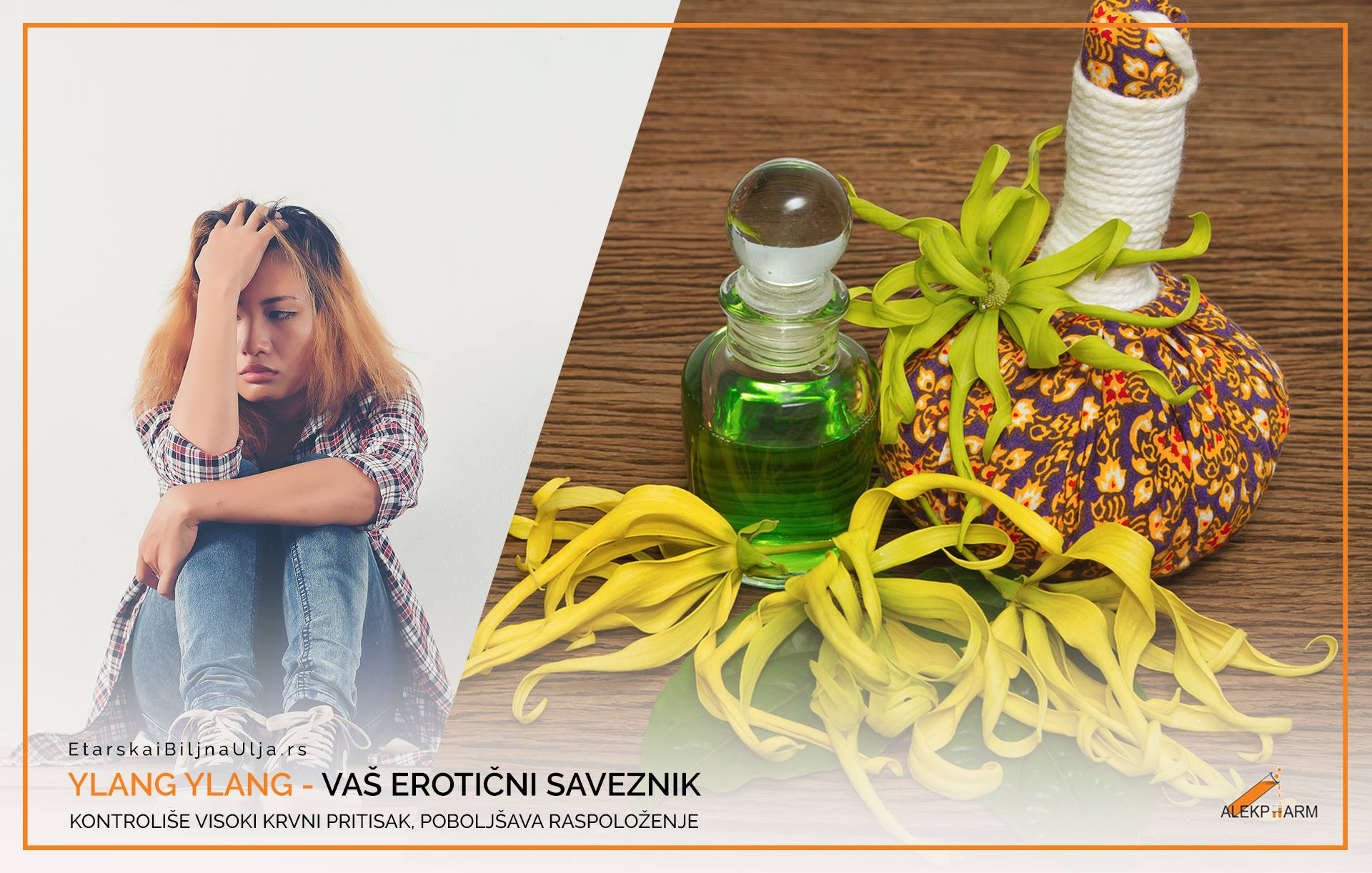 YLANG YLANG- VAŠ EROTIČNI SAVEZNIK